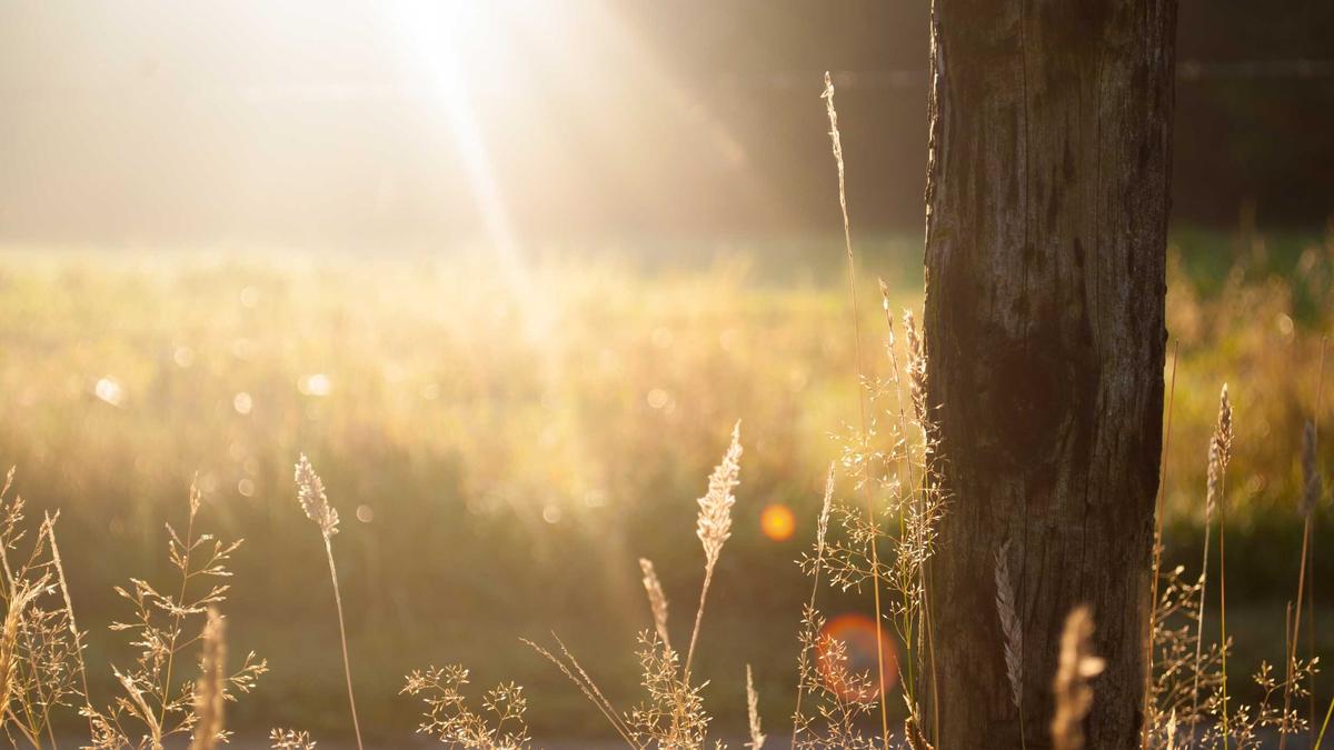 Tax-Loss Harvesting: The Wash-Sale Rule, Substantially Identical Securities & IRS Offsets